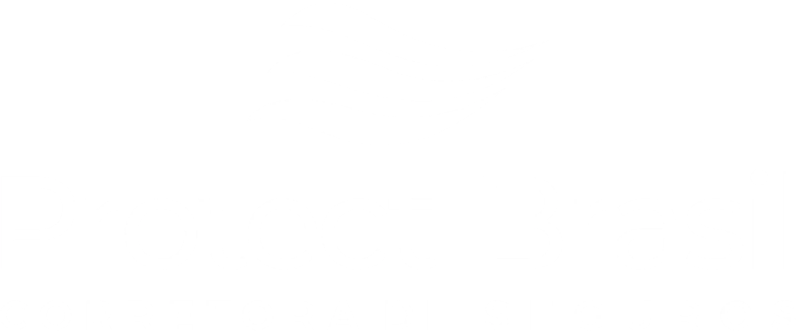 Logo Protect Brasil Corretora de Seguros